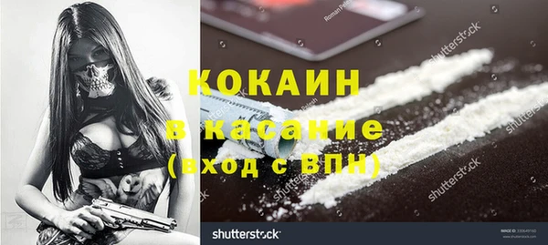 стафф Алзамай